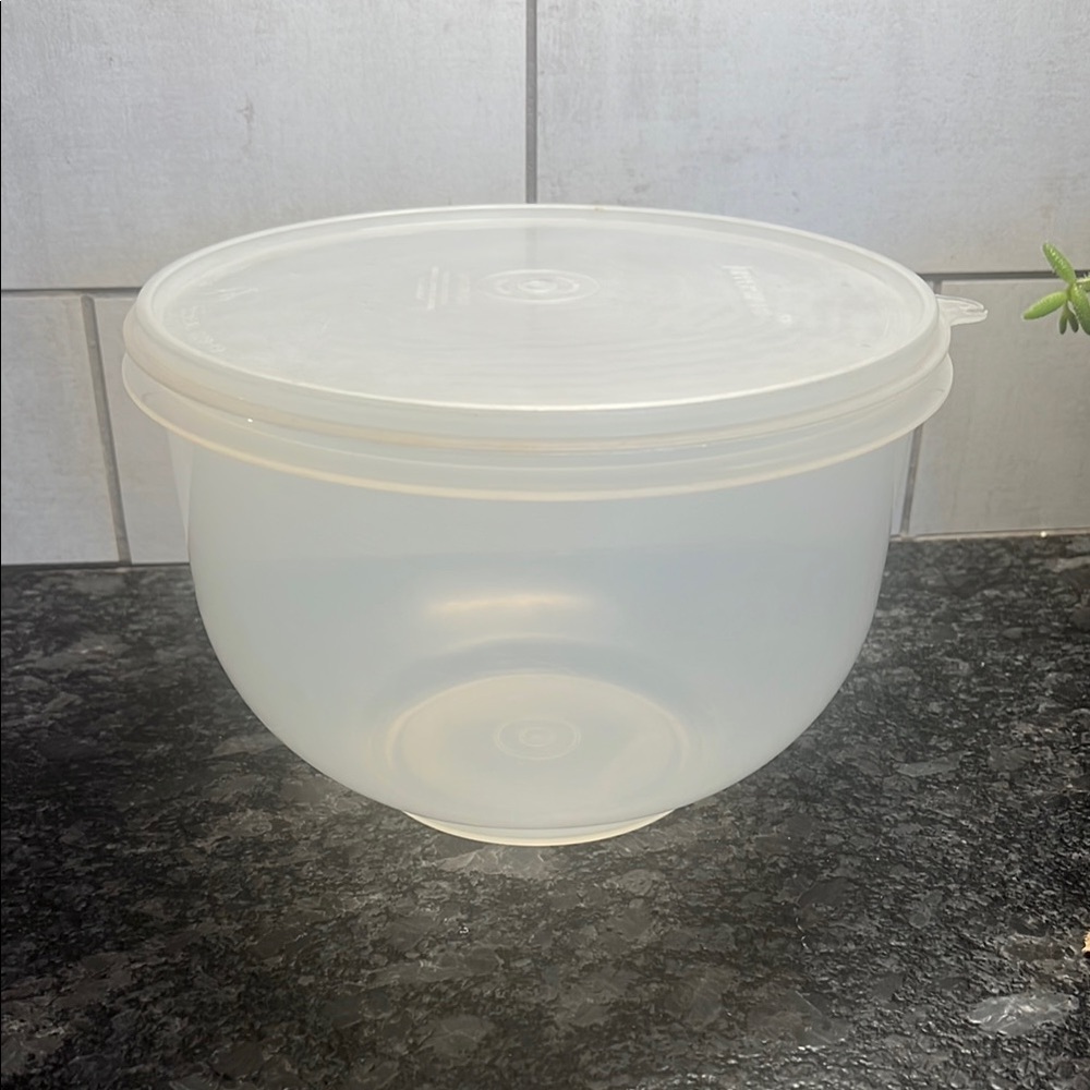 Vintage Tupperware Translucent Food Storage and lettuce keeper. Exc condition